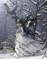 南北雪的差异