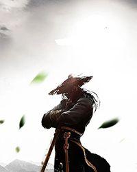 矢车菊魔女笔趣阁手机版